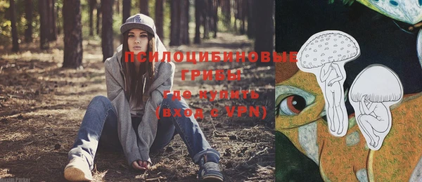 МДМА Арсеньев