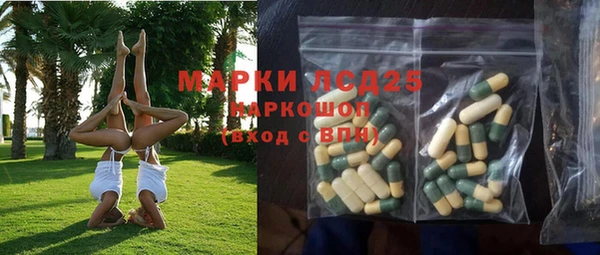 ГАЛЛЮЦИНОГЕННЫЕ ГРИБЫ Баксан