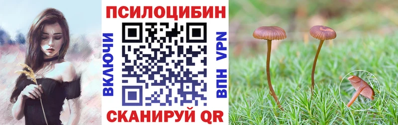 Галлюциногенные грибы MAGIC MUSHROOMS  Купить где  Сальск 